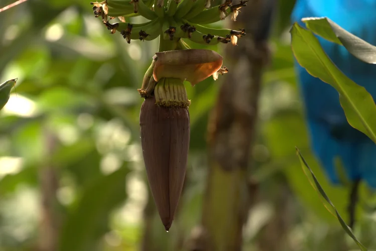 Foto Banner Sostenibilidad